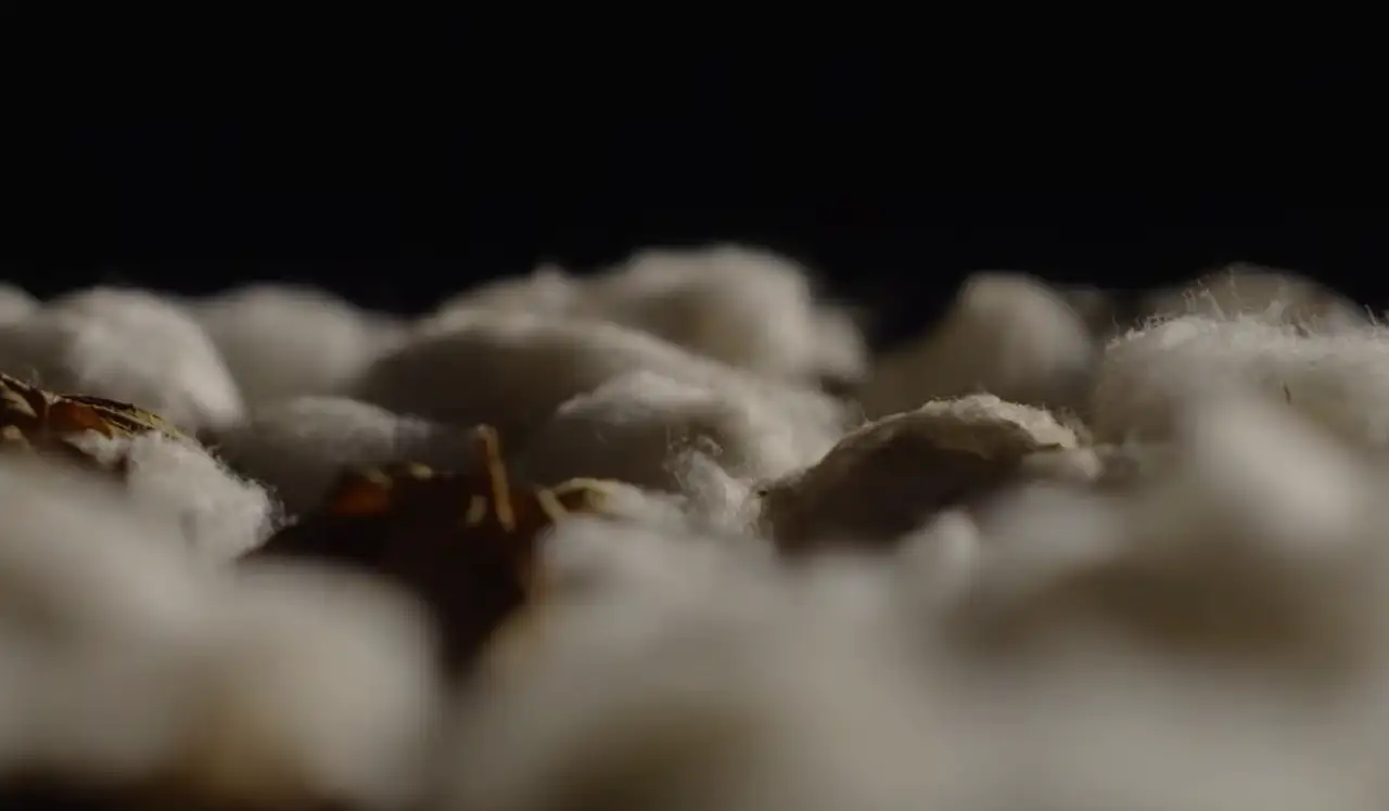 Apa itu Supima Cotton