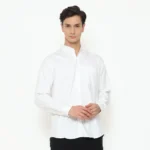 Regular Fit Basic Twill Long Sleeve Shirt - White