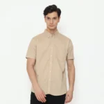 Regular Fit Short Sleeve Oxford Basic Shirt - Cream